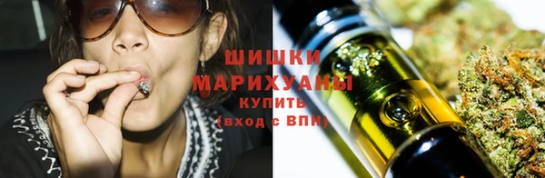 сатива Грязовец