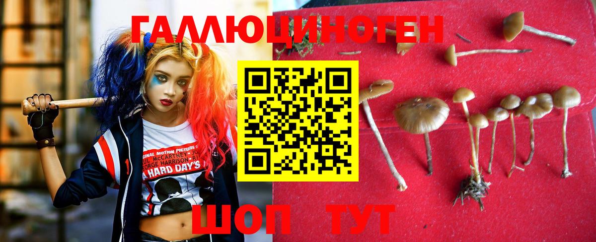 Кыштым  Псилоцибиновые грибы MAGIC MUSHROOMS  Вход с VPN 